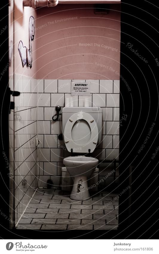 Ladies' room? Toilet Sanitary facilities Tile Bathroom Toilet paper Bowel movement Urinate Derelict