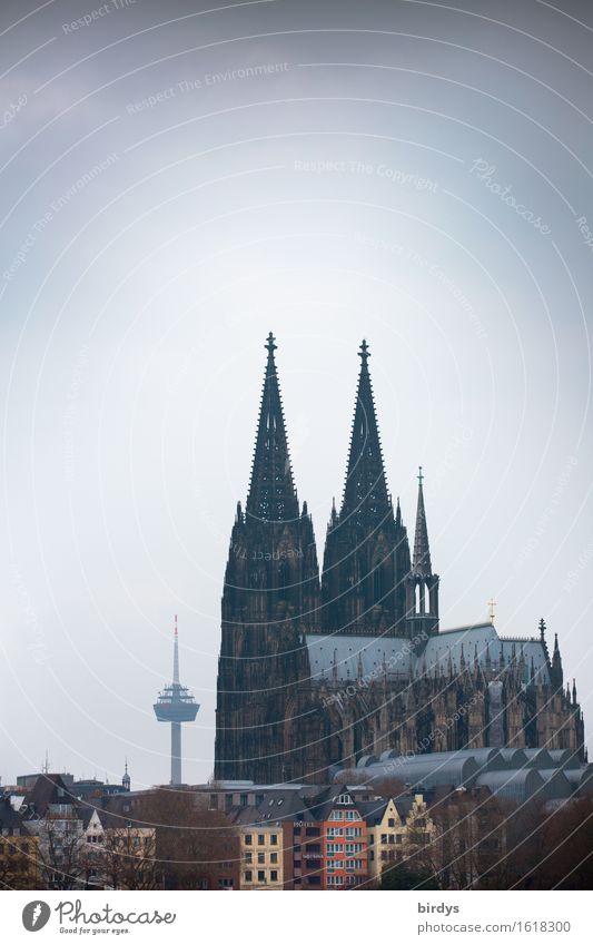 Beau de Cologne Vacation & Travel Tourism City trip Cologne Cathedral Downtown Old town Dome Tower Television tower Tourist Attraction Landmark Esthetic