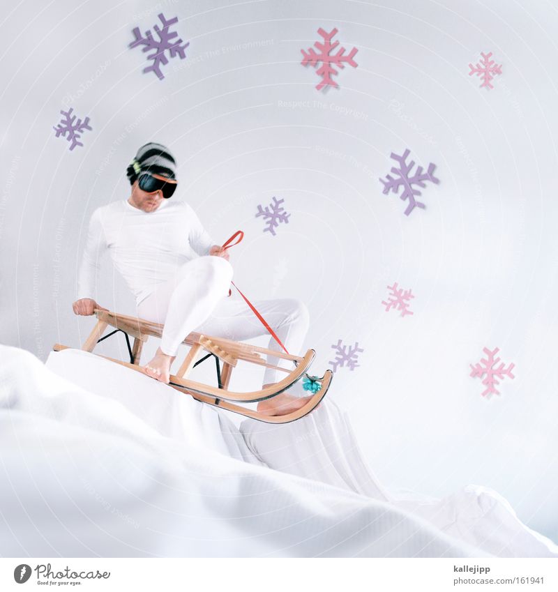 winter's tale Sleigh Winter Downward slide Mountain Snowflake Ice Ice crystal Heap Joy White Set Stage play Christmas & Advent Winter sports slide tour