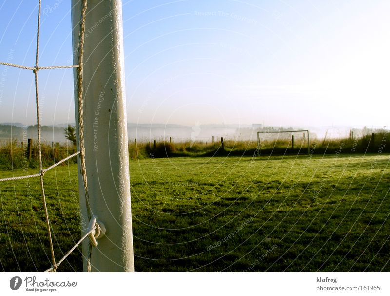 Germany ahead - another goal Soccer Grass surface Playing Ball Goal Net World champion Sun Reflection Leather Sporting event Landscape Sports Indecisive Success