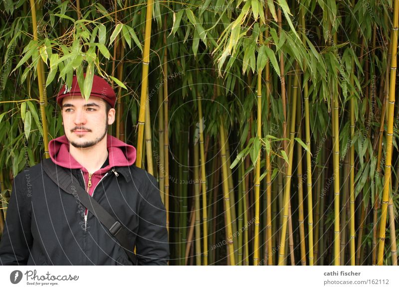 Thomas Bamboo stick Man Green Nature Baseball cap Leaf Jacket Black Facial hair Spring Botany Stand Upper body Head