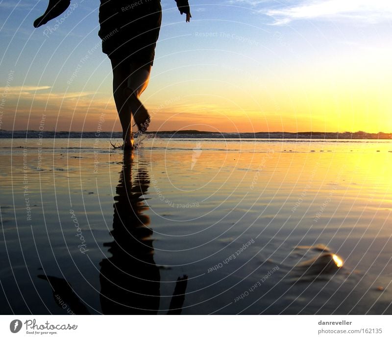 towards the sun Sun Sunrise Ocean Water Beach Walking Mirror Reflection Horizon Clouds Mussel Blue Yellow Shadow Coast