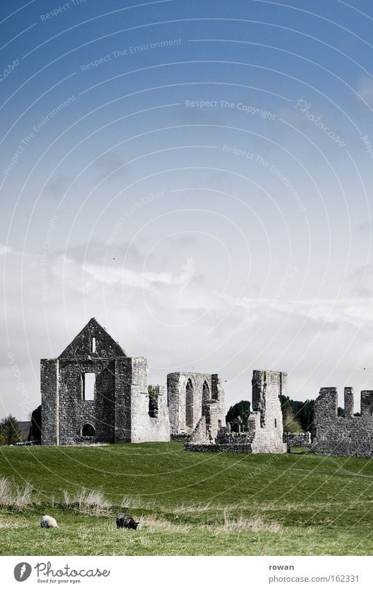 Ireland Colour photo Exterior shot Deserted Copy Space top Copy Space middle Neutral Background Day Landscape Grass Meadow Castle Ruin Manmade structures
