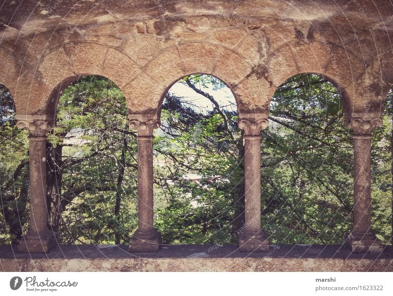 View into the green Arch Window arch Park Sintra Portugal Forest Green Nature Castle Lisbon Vintage Relaxation Vacation & Travel Travel photography Calm