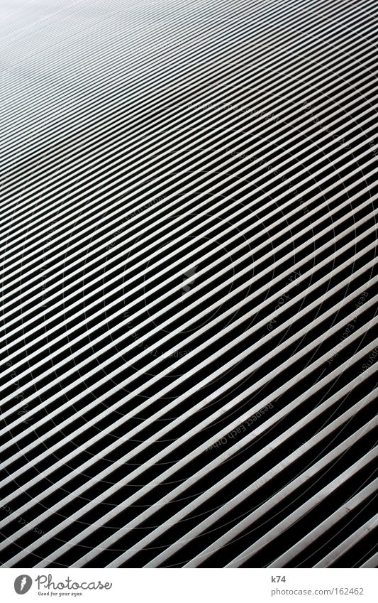 ///////////////////////////////////////// Stripe Diagonal Contrast Metal Deep Cold Hard Glittering High-tech Zebra Detail Tilt