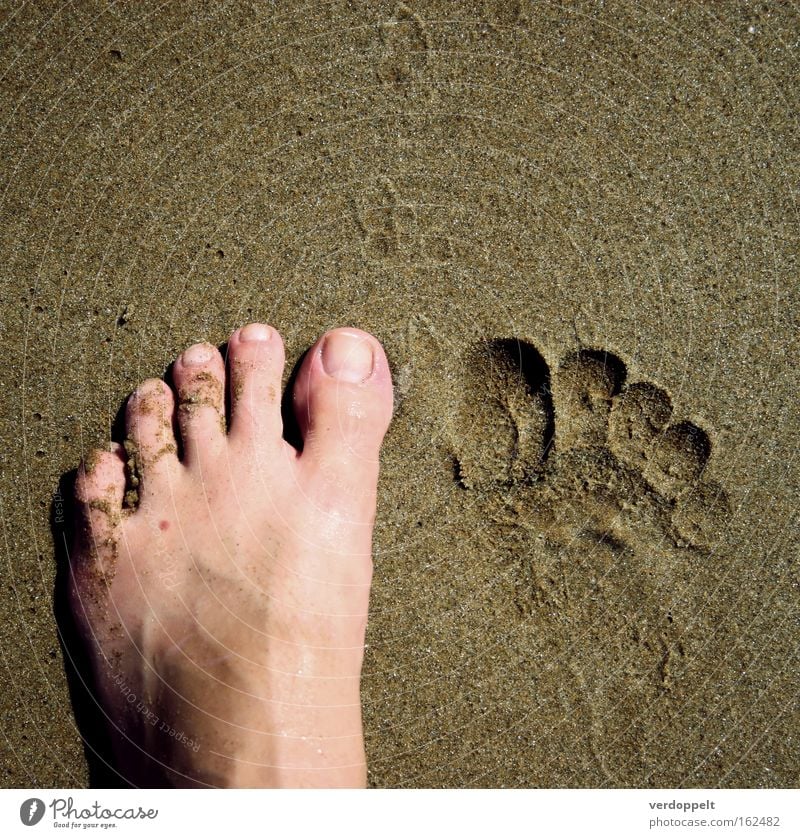 m_4 Ocean Human being Parts of body Feet Half Mole Toes Sand To go for a walk Walking Footprint Signs and labeling nales Grain step dent trace Barefoot