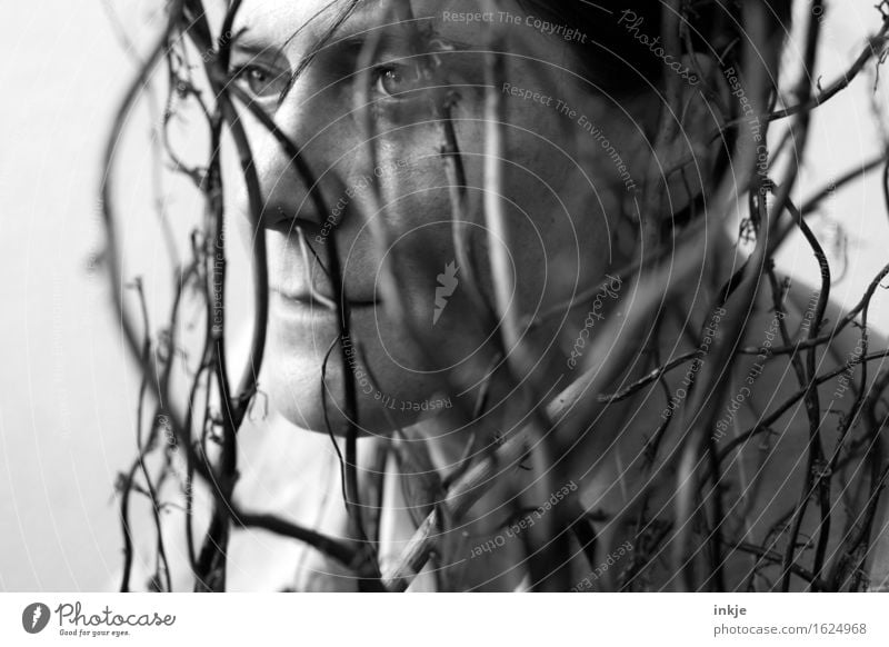 Woman face behind branches Adults Life Face 1 Human being Plant Bushes Branch Twig Willow corkscrew Hazelnut Old Gloomy Gray Backwards Calm Black & white photo