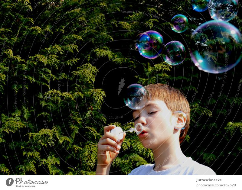 Dream on Soap bubble Blow Bubble Child Infancy Boy (child) Toys Glittering Playing Bursting Beautiful Peace Joy evergreen Juttas snail