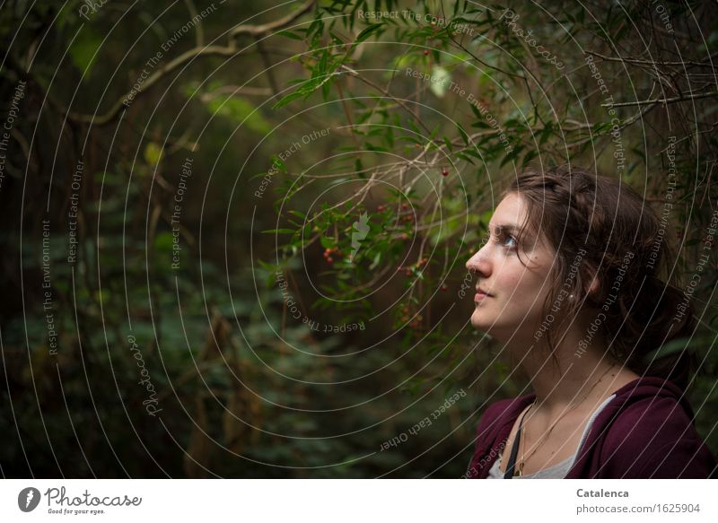 In the undergrowth of a jungle, portrait of a young woman Harmonious Calm Vacation & Travel Trip Hiking Feminine Young woman Youth (Young adults) Head 1
