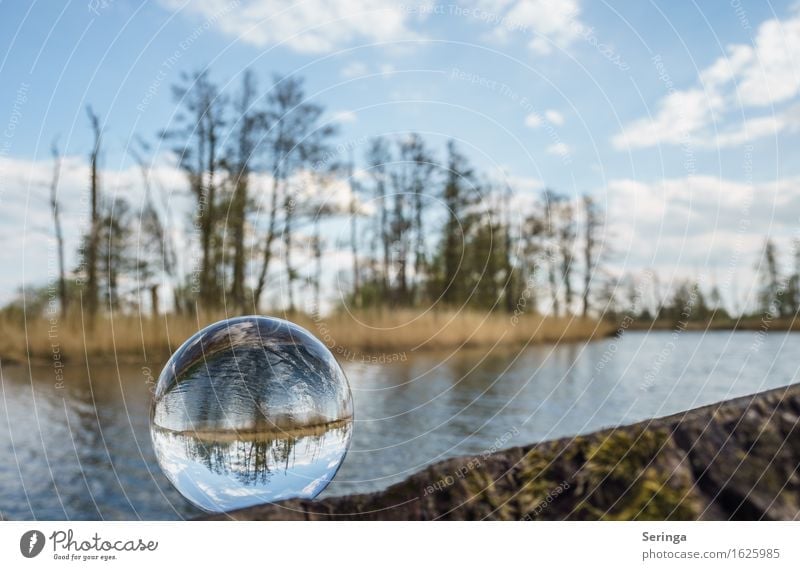 In the eye of the beholder Leisure and hobbies Vacation & Travel Trip Freedom Summer Lakeside Pond River Glass Sphere Spring fever Glass ball River bank