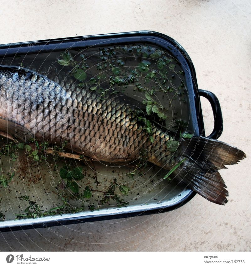 Fish on Good Friday Nutrition Pan Gray Green Carp Cooking Colour photo Interior shot Close-up Copy Space right Copy Space bottom Deserted Headless