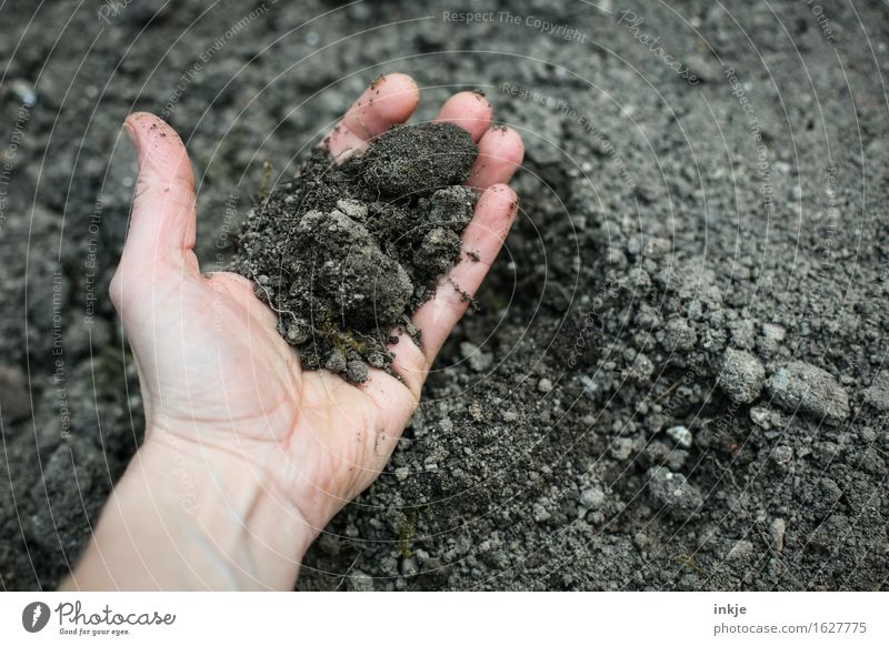 earth Hand Nature Elements Earth Summer Park Field To hold on Dirty Simple Fresh Brown Gray Black Testing & Control Senses handful Take Ground Muding