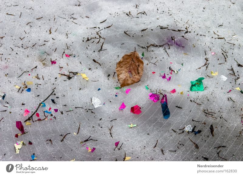 But such a forest is also colorful Snow Winter Confetti Leaf Light Shadow Colour Trash Dirty New Year's Eve Carnival