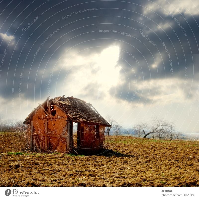 housing crisis House (Residential Structure) Field Sky Sun Derelict Barn Landscape Architecture Ruin House building Crisis Loneliness