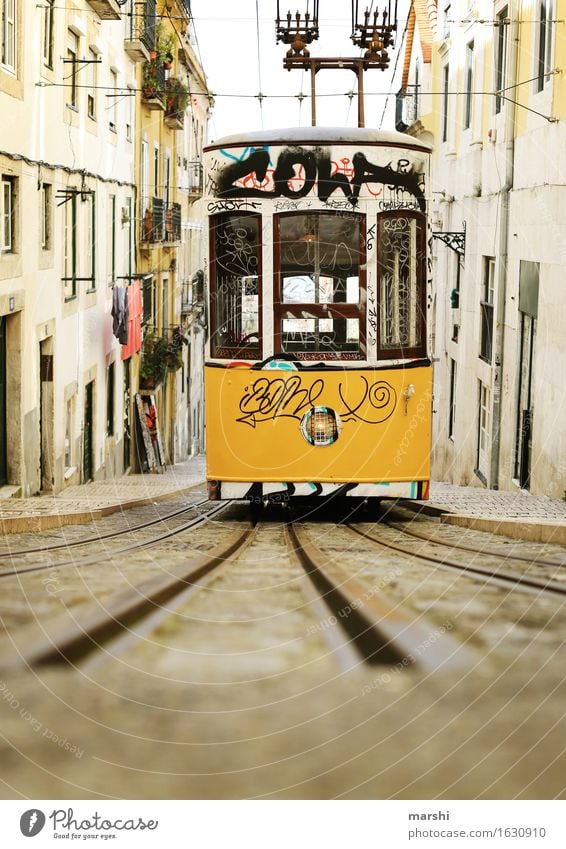 tram Capital city Downtown Old town Populated Transport Means of transport Traffic infrastructure Public transit Logistics Road traffic Street Lanes & trails