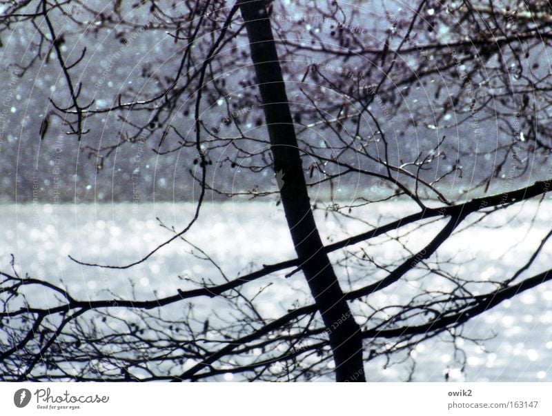April morning Colour photo Subdued colour Detail Abstract Deserted Day Contrast Silhouette Back-light Deep depth of field Snow Environment Nature Landscape