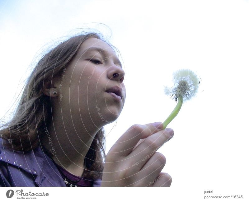 aerial Hand Dandelion Blow Child Face blowflower Seed blow away carry sb./sth. away Wind