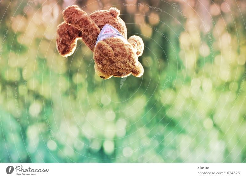 Teddy Per in high flight Playing Freedom Trampoline Nature Teddy bear Flying Fear of flying Movement Athletic Happiness Cuddly Cute Multicoloured Joy Happy
