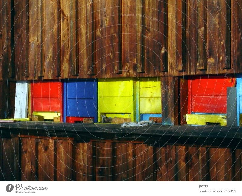apiary Wooden house Bee Colour no flying weather
