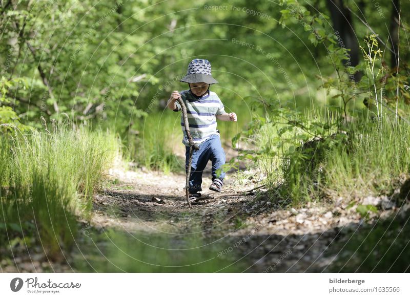 Wanderer 1 Lifestyle Playing Trip Adventure Summer Hiking Child Toddler Boy (child) Nature Landscape Joie de vivre (Vitality) Cap Hiking stick Forest