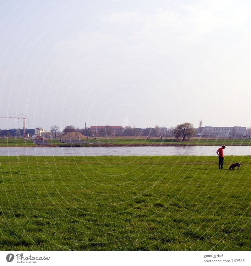 Search [DD|Apr|09] Dresden Water Elbe River Meadow Grass Dog Human being Man Crane tia view7 Summer Spring user meeting