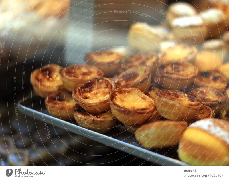 pastel de nata Food Dessert Candy Nutrition Eating Moody Sweet Lisbon Pudding Flaky pastry Bakery Tradition Calorie Colour photo Interior shot Close-up Detail