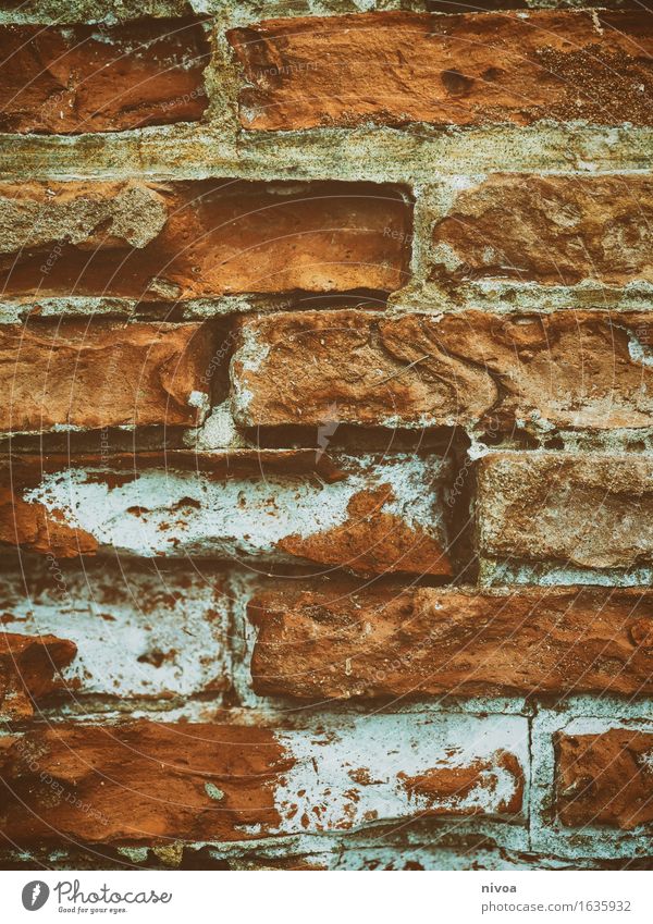 Brick 3 House (Residential Structure) Manmade structures Building Architecture Wall (barrier) Wall (building) Facade Line Lie Firm Brown Orange Red Agreed