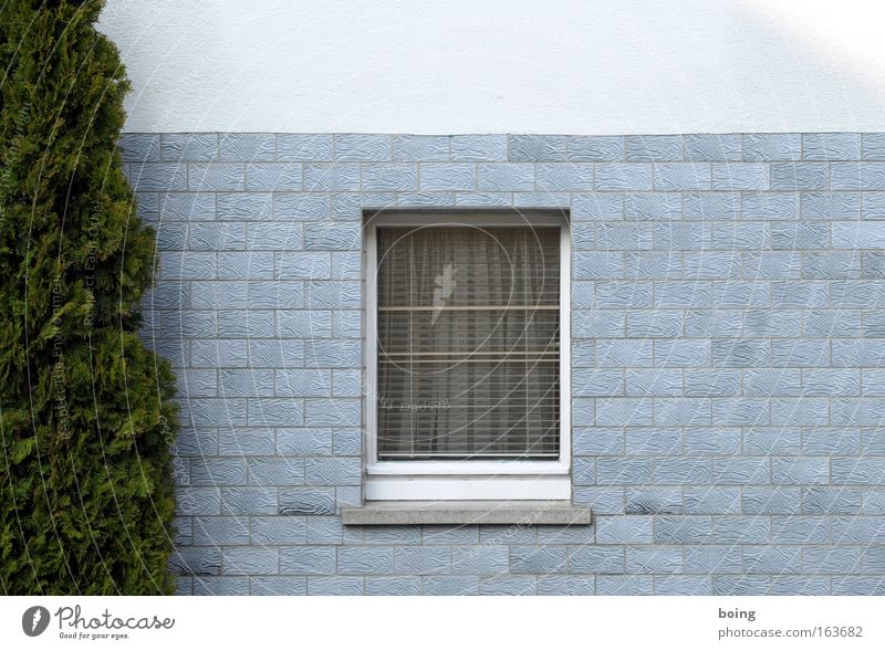 Title wizard suggests "Window House (Residential Structure) Village Front garden Drape false cypress Window board Tile Plant