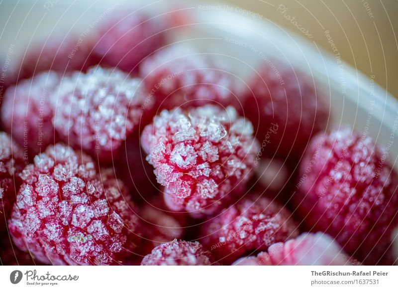 raspberry Food Fruit Pink Red Black White Raspberry Berries Frozen Frost Ice smothie Dessert Detail Colour photo Multicoloured Macro (Extreme close-up)