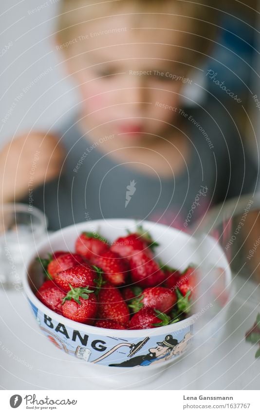 Bang! Strawberries! Fruit Strawberry Organic produce Vegetarian diet Finger food Bowl Healthy Healthy Eating Summer Summer vacation Toddler Boy (child) 1