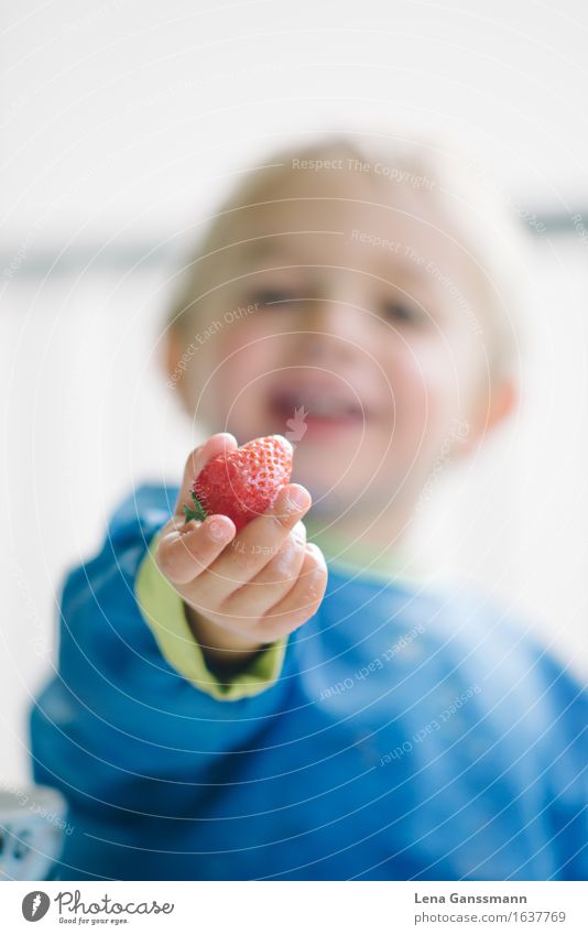 Strawberry time!! Food Fruit Picnic Diet Slow food Healthy Children's game Eating Mother's Day Birthday Kindergarten Toddler Boy (child) 1 Human being