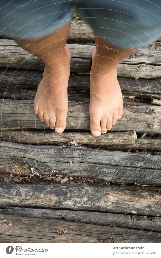 Barefoot on wood Pedicure Healthy Leisure and hobbies Tourism Trip Hiking Human being Masculine Adults Life Feet 1 30 - 45 years Environment Nature Summer