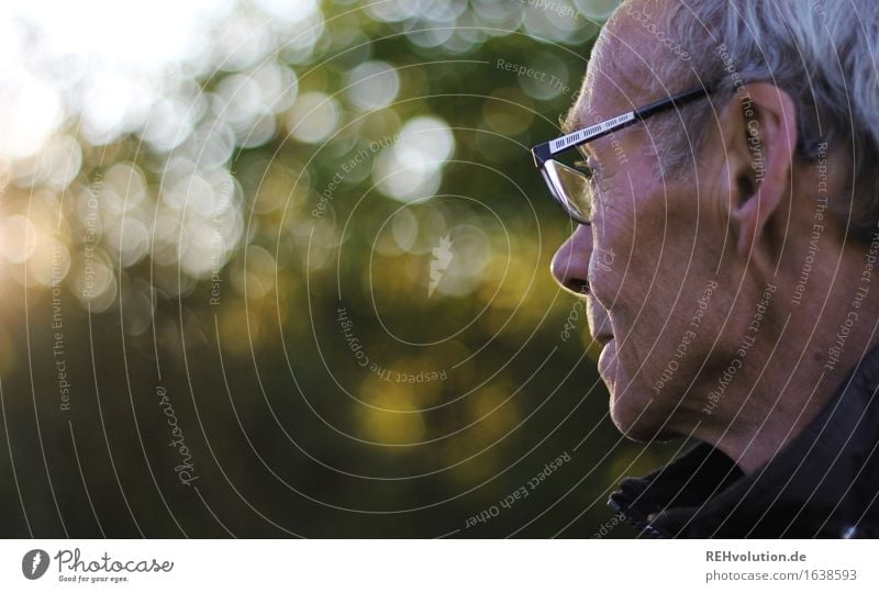 Senior in profile with glasses Human being Masculine Man Adults Male senior 1 60 years and older Senior citizen Environment Nature Landscape tree Park