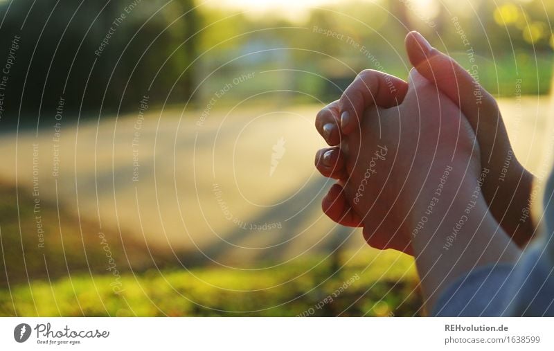 pray Feminine Hand 1 Human being Environment Nature Landscape Park Meadow Strong Green Self-confident Peaceful Goodness Altruism Humanity Help Grateful