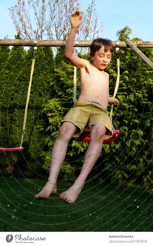 And off - Kamikaze Colour photo Exterior shot Day Front view Downward Joy Life Playing Children's game To swing Summer Garden Human being Masculine Boy (child)