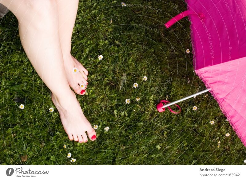 [Harusaki-DD] Pink too pink too green. Colour photo Exterior shot Day Feminine Legs Feet Toenail Spring Daisy Park Meadow Umbrella Umbrellas & Shades Relaxation