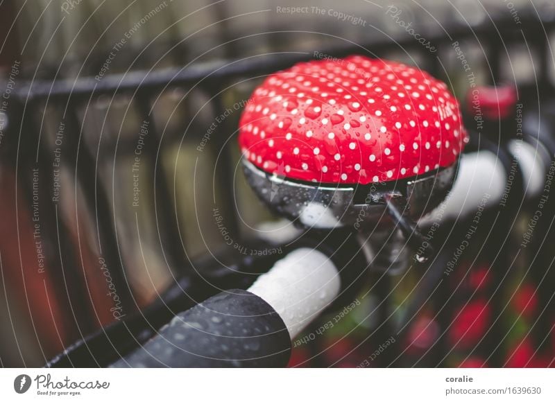 The little pleasures Cycling Wet Bicycle bell Bicycle handlebars Point Spotted Red White Amanita mushroom Multicoloured Autumn Drop Rain Beautiful Bright spot