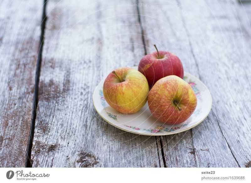 A plate full of apples Food Fruit Apple Nutrition Organic produce Vegetarian diet Plate Wood To enjoy Healthy Health care Price tag Colour photo Exterior shot