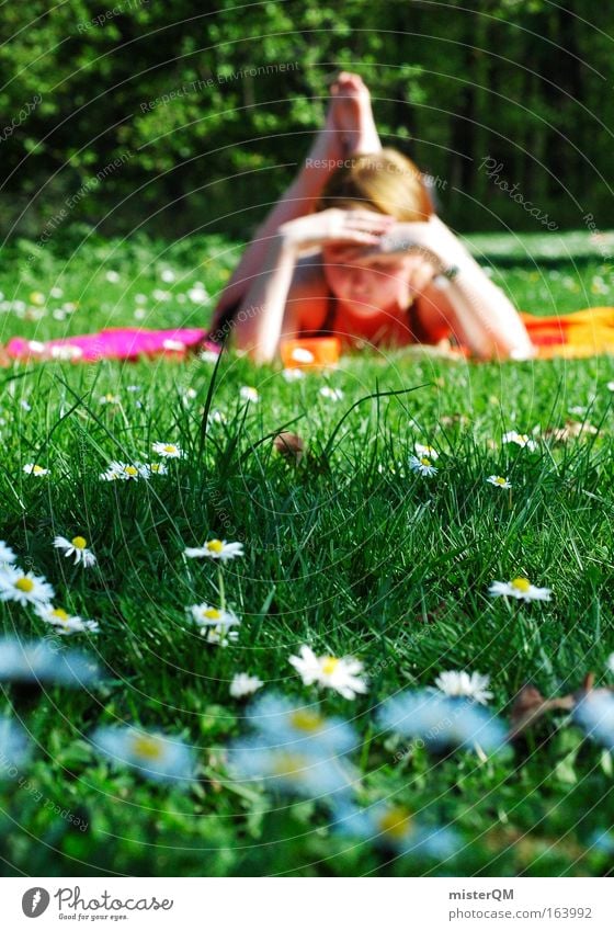 A bookworm meets a spring meadow. Colour photo Multicoloured Exterior shot Copy Space left Copy Space right Copy Space bottom Day Shadow Sunlight Blur