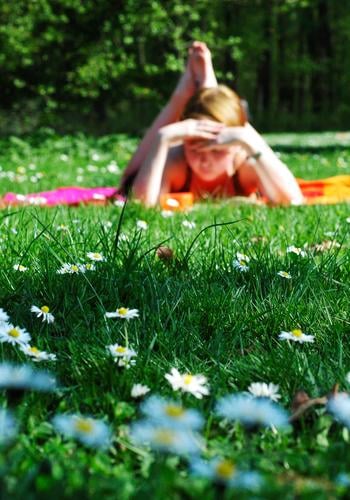 A bookworm meets a spring meadow. Colour photo Multicoloured Exterior shot Copy Space left Copy Space right Copy Space bottom Day Shadow Sunlight Blur