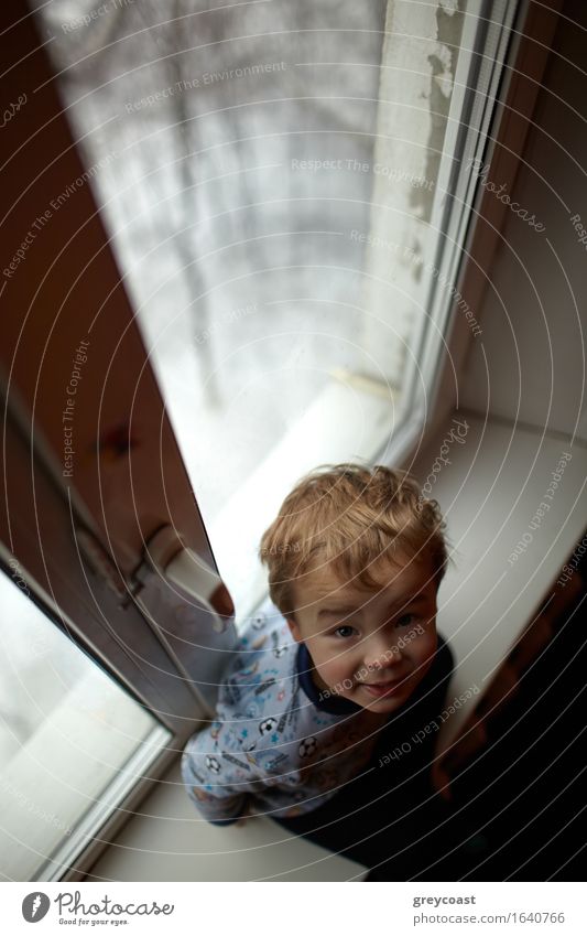 Smiling two year old boy sits on the windowsill and looking to the camera. Winter Child Baby Toddler Boy (child) Man Adults Infancy Body 1 Human being