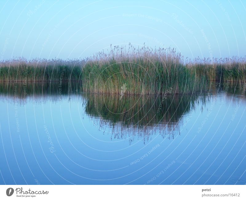 canopy endoscopy Water Sky Lake Above Under Blue Brown Green Peaceful Longing Loneliness Idyll Inspiration Endorheic basin Reeds Colour photo Multicoloured
