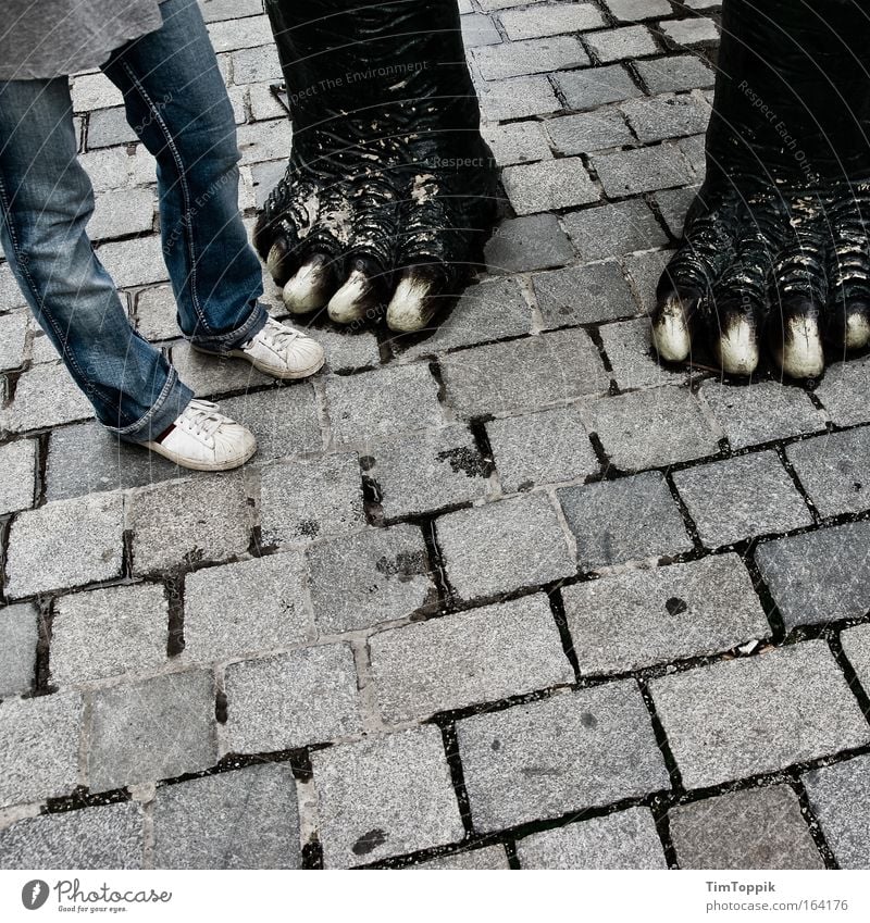 My new friend Couple Partner Legs Feet 1 Human being Street Jeans Sneakers Claw Paw Stand Elephant Pedestrian precinct Cobbled pathway Paving stone In pairs