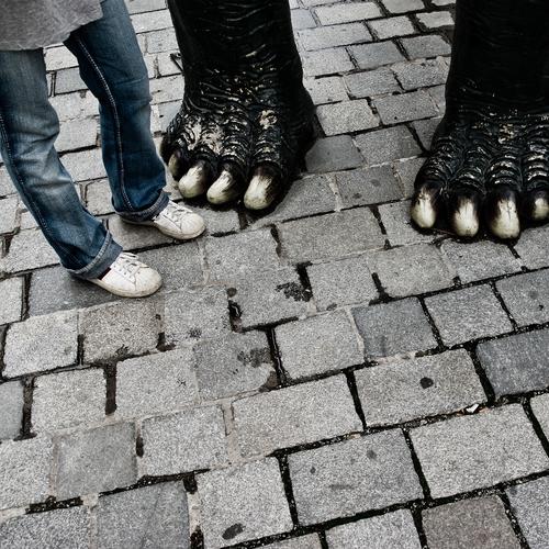 My new friend Couple Partner Legs Feet 1 Human being Street Jeans Sneakers Claw Paw Stand Elephant Pedestrian precinct Cobbled pathway Paving stone In pairs