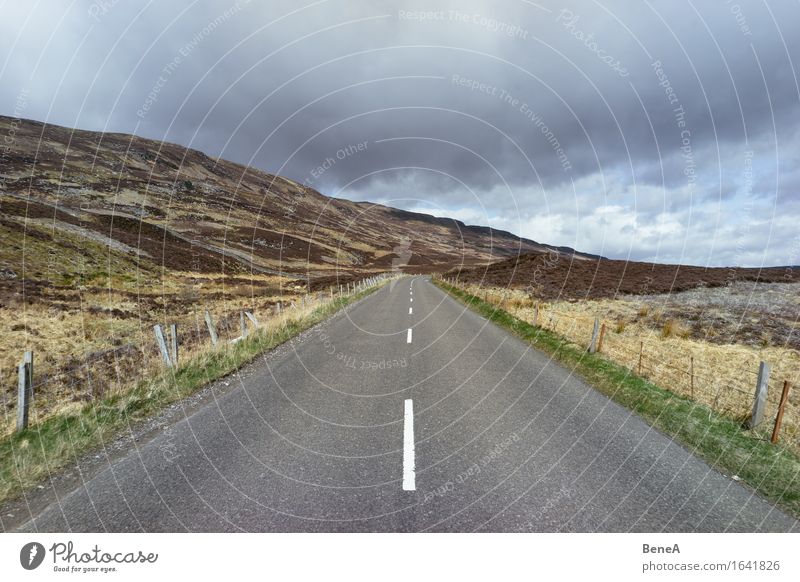 How many roads must a man walk down? Nature Landscape Animal Sky Clouds Storm clouds Meadow Field Hill Scotland Deserted Traffic infrastructure Road traffic