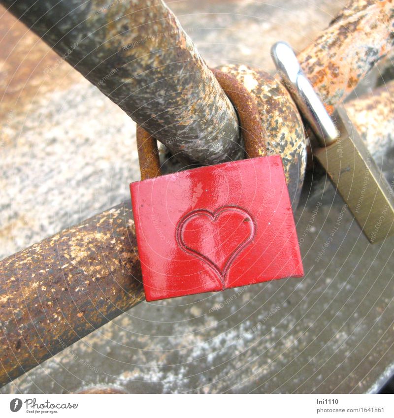 lock of love Padlock Lock Bridge railing Accessory Jewellery token of love Display of affection Lovers Declaration of love Love padlock With love Souvenir Metal