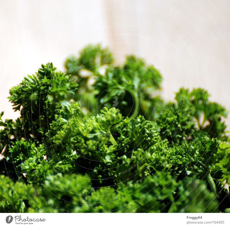 parsley Parsley Herbs and spices fine cuisine Healthy Bundle Spicy Green Close-up Shallow depth of field
