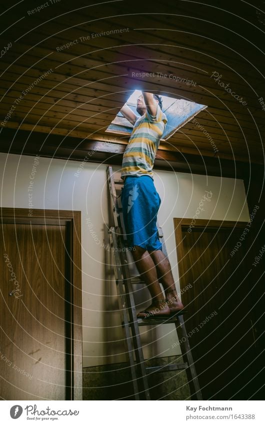 Young man stands on a rung ladder and looks out of the roof hatch Leisure and hobbies Adventure Summer Flat (apartment) Staircase (Hallway) Ladder Human being