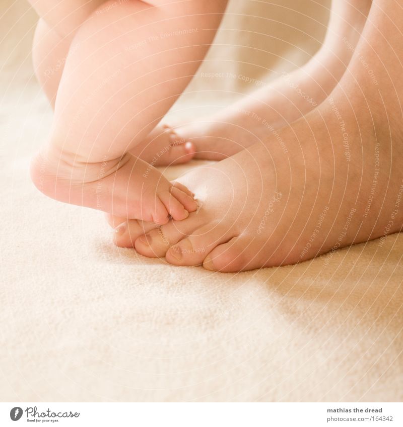 Four feet stand Colour photo Interior shot Detail Neutral Background Day Light Shadow Contrast Sunlight Happy Pedicure Human being Baby Woman Adults Parents