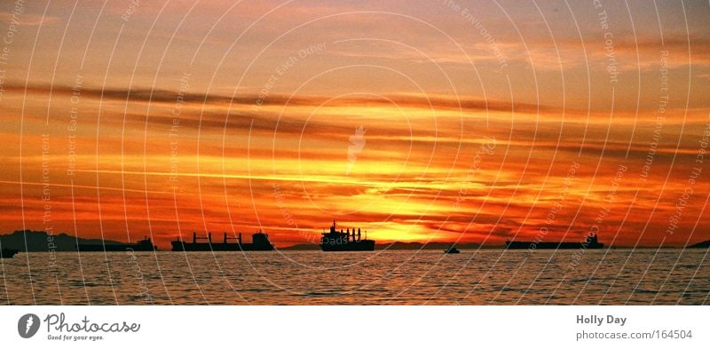Sunset & Ships Logistics Sky Clouds Horizon Sunrise Summer Beautiful weather Coast Ocean Pacific Ocean Container ship Oil tanker Watercraft